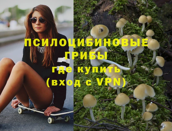 PSILOCYBIN Армянск