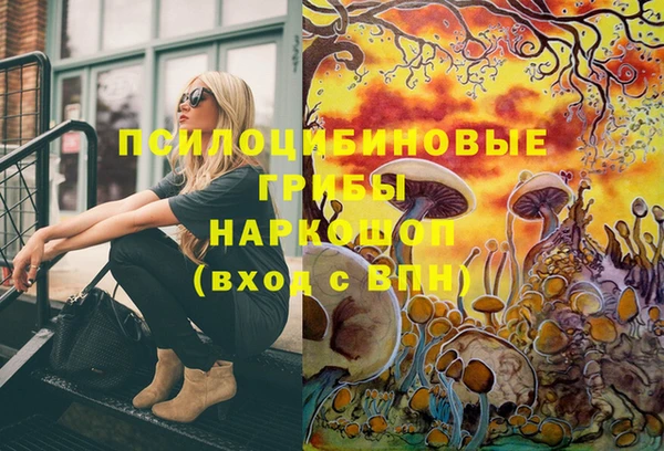 тгк Абдулино