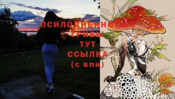 гашик Абинск