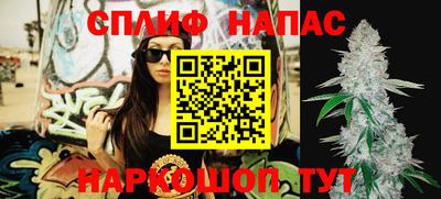стафф Новодвинск