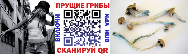 Псилоцибиновые грибы GOLDEN TEACHER  наркотики  Ялта 