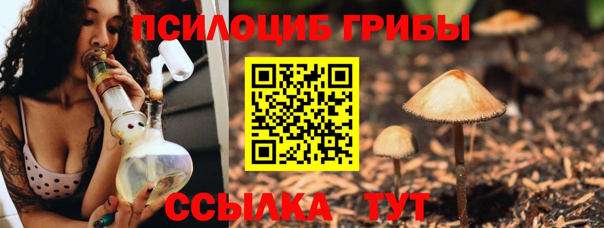 Галлюциногенные грибы Cubensis  Галлюциногенные грибы ЛСД  Вход с VPN  Ялта 