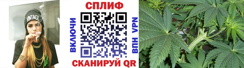 где купить наркотик  Ялта  Шишки марихуана семена 